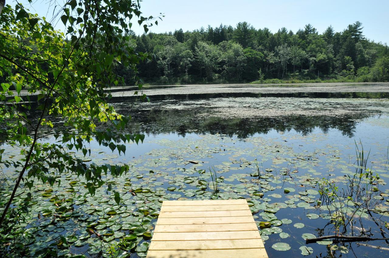 Tuxbury Pond Camping Resort Tiny House Murphy Южен Хамптън Екстериор снимка